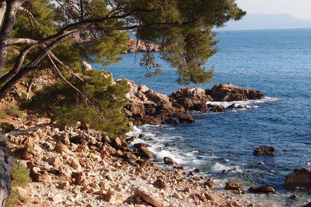 Au Coeur De La Ville Bandol Luaran gambar